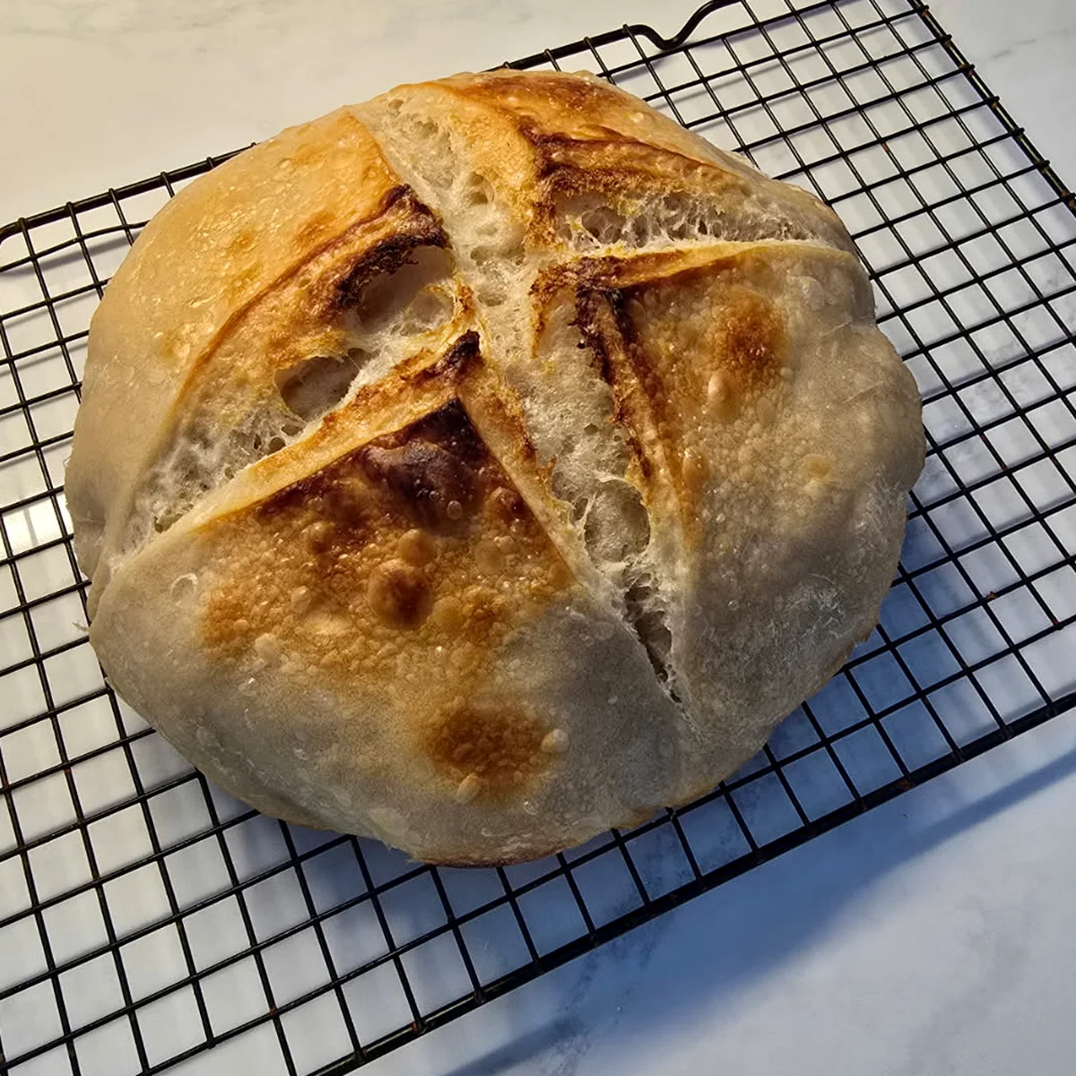 Fresh sourdough loaf cooling on a wire rack